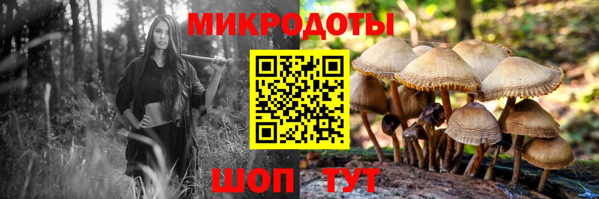Электросталь  Псилоцибиновые грибы GOLDEN TEACHER  Вход с VPN 
