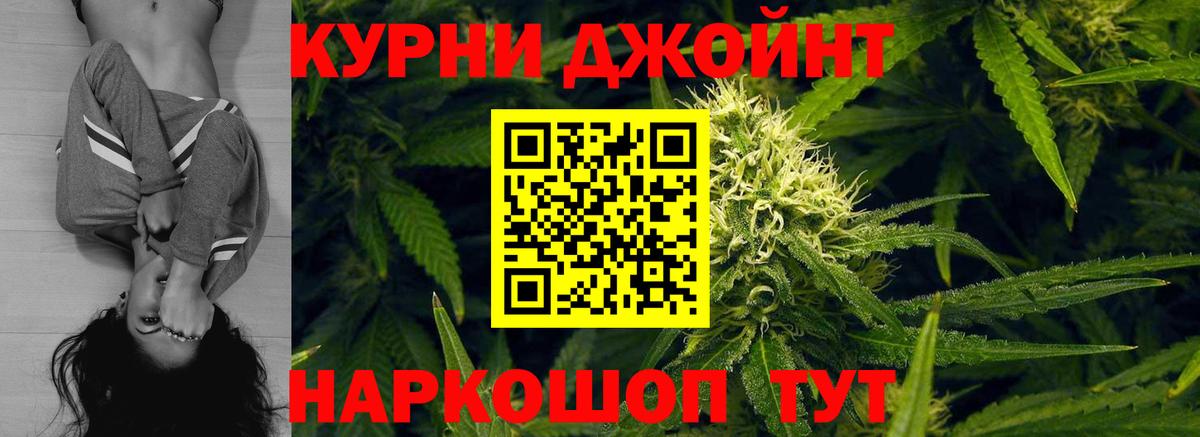 Конопля семена  Канабис MAZAR  Электросталь  МАРИХУАНА планчик  Вход с VPN 